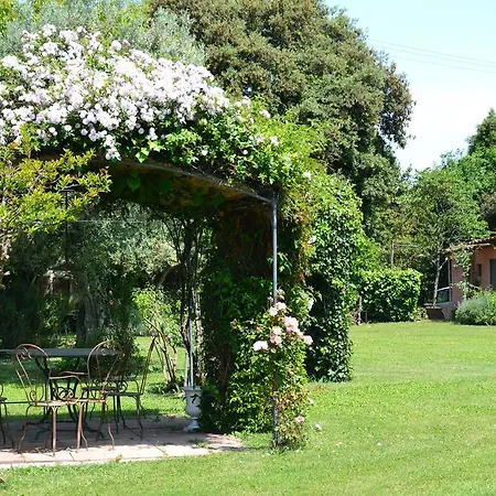 Doc In Villa Bibbona