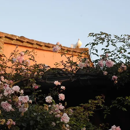 Villa Doc In Bibbona